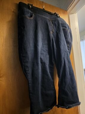 Lane Bryant  Dark Blue Relaxed Jeans